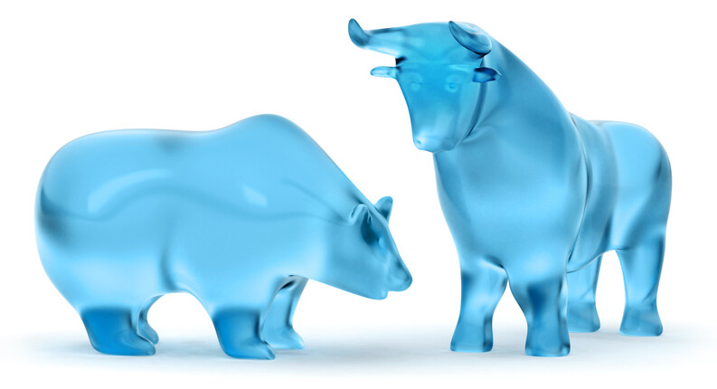Mood picture of the Masterflex share: bull and bear