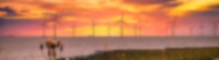 Masterflex Group Urlaubsstimmungsbild: Offshore-Park im Sonnenuntergang