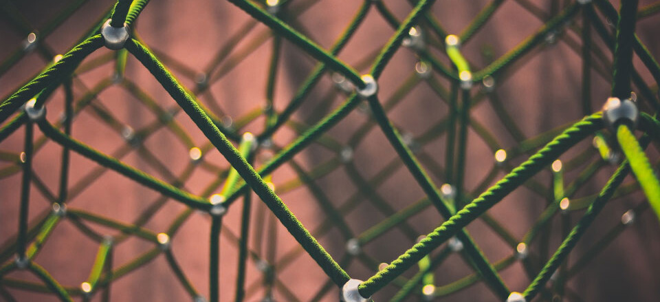Abstract green net, somewhat blurred in the background.